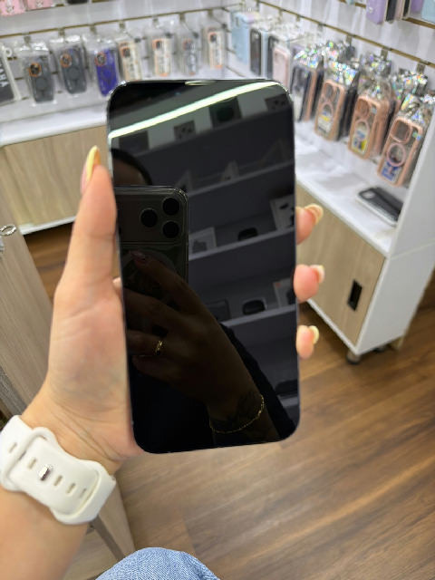 iPhone 13 Pro Max 256 GB